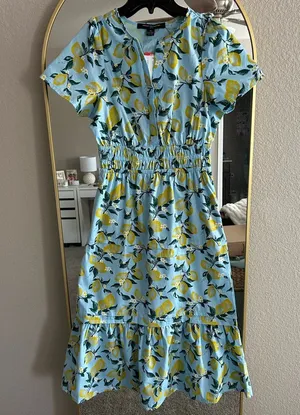 NWT French Connection Bluebird Lemon Maxi Dress thumbnail 1
