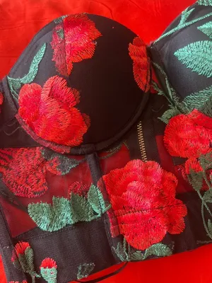 Jagger & Stone Frida Rose Mesh Bustier Corset, Whimsigoth sz0 thumbnail 7