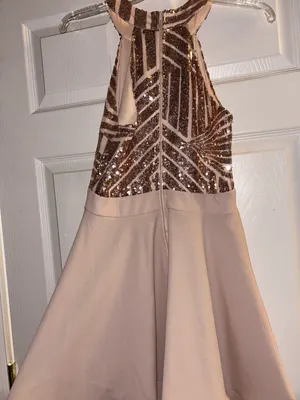 Windsor Light Pink Prom / Homecoming Dress thumbnail 3