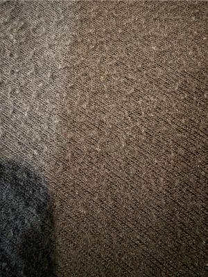 Alo Yoga Soho Sweatpants size XS/S GUC thumbnail 3
