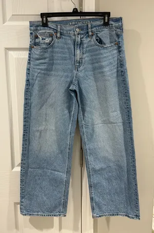 American Eagle Strigid Baggy Wide-Leg Jean thumbnail 1
