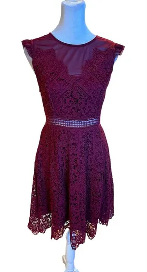 Francesca's Women's Burgundy Lace Fit & Flare Dress Size S Party Cocktail thumbnail 1