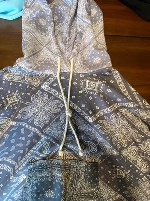 American Eagle Outfitters Hoodie thumbnail 2