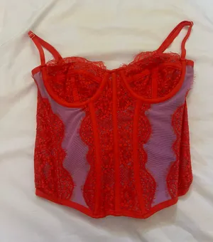 Urban Outfitters Corset Top thumbnail 1