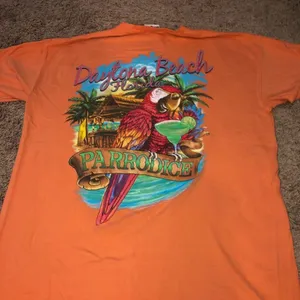 Comfort colors Daytona beach t-shirt thumbnail 1