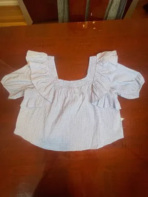 Zara Blue Gingham Ruffle Smocked Blouse XL Cotton Coquette Coastal Picnic Top thumbnail 9