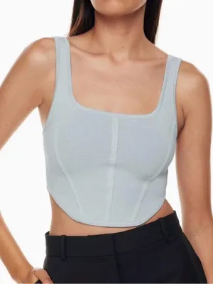 Aritzia Babaton Sculpt Knit Bustier in Light Blue thumbnail 1