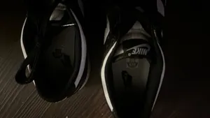 Nike Panda Low Dunks thumbnail 2