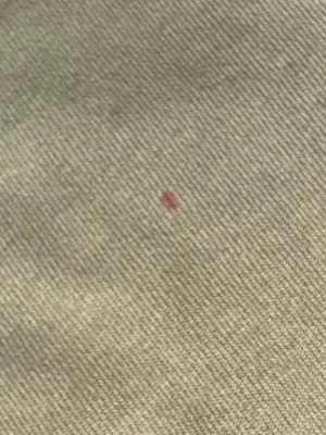 Champion Crewneck Sweatshirt in Sage Green thumbnail 4