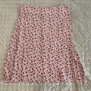 Brandy Melville Skirt thumbnail 1