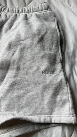Aritzia Shorts thumbnail 2
