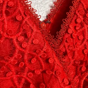 Reiss Abrianna Red Lace V-Neck Cap Sleeve Cocktail Dress Size 4 thumbnail 11