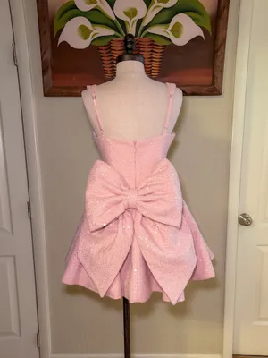 Babyboo Dorothy Mini Dress – Blush thumbnail 4