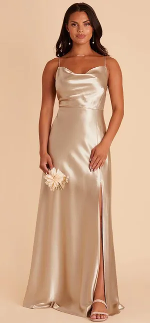 Birdy Grey Satin Champagne Lisa Dress thumbnail 1