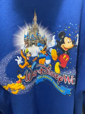 Disneyland Resort Hoodie Adult Size Medium Blue Zip Up Sweatshirt Disney Parks great condition washed and ready to ship thumbnail 9