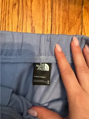 North Face Sweatshorts thumbnail 4