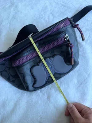 Coach x Disney Dumbo Terrain Belt Bag thumbnail 15