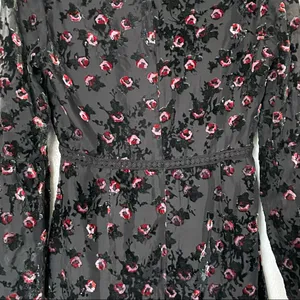 WAYF Brayden Long Sleeve Black with Red Roses Embroidered Velvet Dress Medium thumbnail 11