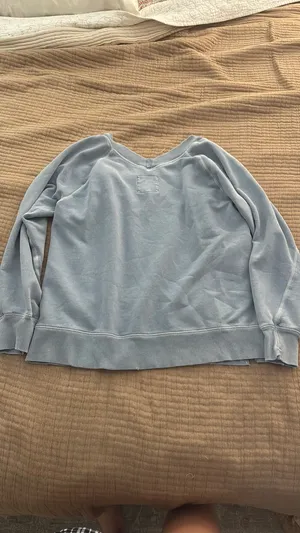 Aerie Sweatshirt  thumbnail 3