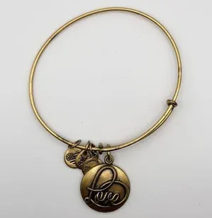 Alex and Ani Love Light Affection Joy 2016 Rafaelian Expandable Bangle Bracelet thumbnail 1