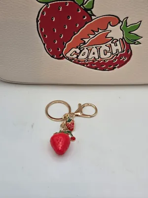 Coach camera bag Jamie Strawberry NWT ! Grab this now thumbnail 9
