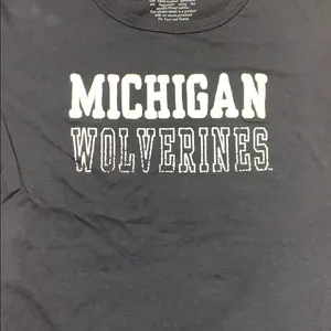 Michigan tee shirt Size L thumbnail 2