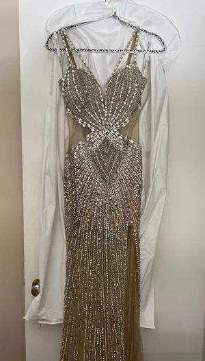 Portia and Scarlett Gold/Silver Gown thumbnail 2