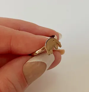 Elephant Ring thumbnail 3