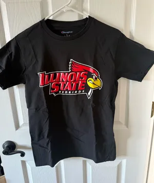 Champion Illinois state tshirt thumbnail 1