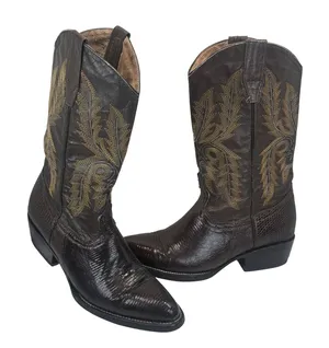 Circle G Boots Womens‎ 6.5 Brown Exotic Lizard Skin Leather Western Cowboy Boho thumbnail 1