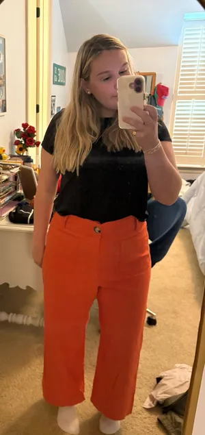 Maeve Anthropologie Pants Colette thumbnail 1