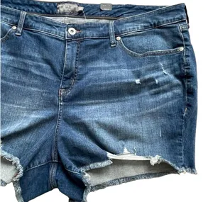 Torrid 3.5 Inch Vintage Stretch Mid-Rise Shorts Women’s Plus Size 26 Distressed thumbnail 6