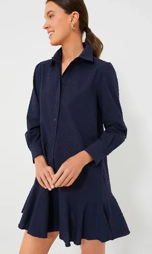 Tuckernuck Callahan Navy Swiss Dot Shirt Dress thumbnail 1