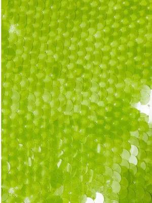 Kim Shui Revolve Green Sequin Mini Dress thumbnail 4