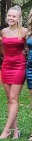 Windsor Red Bodycon Dress thumbnail 1