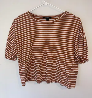 Burnt Orange Cropped Striped Tee thumbnail 1