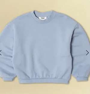 Elwood crew sweatshirt light blue casual fall activewear $100 limited edition thumbnail 1