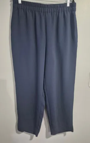 Madewell Huston navy blue professional Pull-On Crop Pants Womens Size Large thumbnail 1
