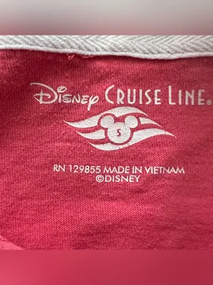 Disney Cruise Line Set Sail Long Sleeve Hooded T-Shirt Pink size Small thumbnail 2