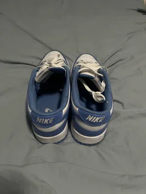 Polar Blue Nike Dunk Low  thumbnail 4