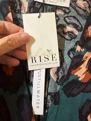 NWT Stillwater Green Cheetah Plunging Neckline Maxi Dress thumbnail 4