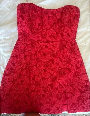 Red Showpo Dress thumbnail 1