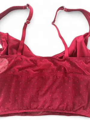 Gilly Hicks Lace Underwire Corset Bralette Mesh Crop Top Burgundy M thumbnail 3
