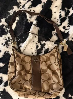 Vintage Coach Signature Stripe Hobo thumbnail 1