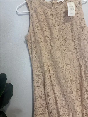 NWT Blu Pepper Beige Floral Lace Fit & Flare Dress large thumbnail 3