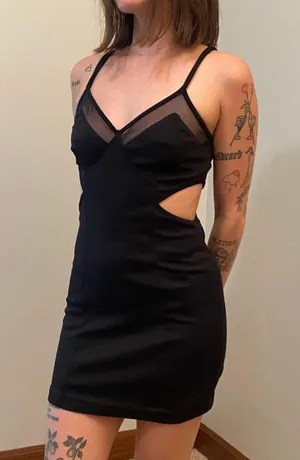 Mesh Cutout Mini Dress thumbnail 1