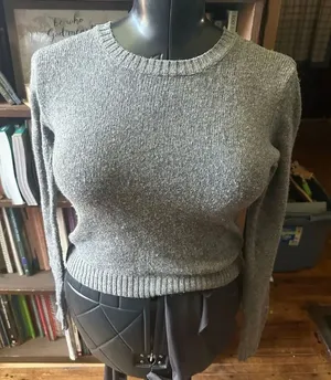 Brandy Melville gray wool blend cropped S sweater thumbnail 1