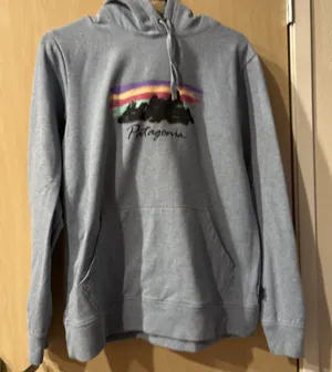 Patagonia Free Hand Fitz Roy Ahnya Hoodie Womens Large Blue Pullover thumbnail 1