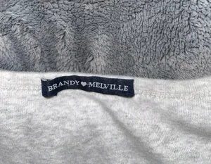 Brandy Melville Crop Top thumbnail 3