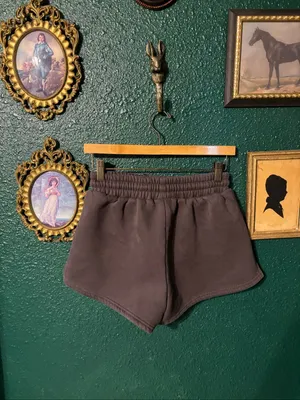 Comfrt Gray Sweat Shorts Sz Small 2.5” thumbnail 2